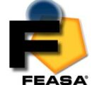 Logo-FEASA